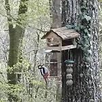 Prázdninový dům Maison Tronchiennes *