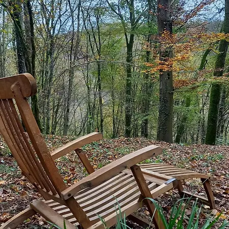Maison Tronchiennes *