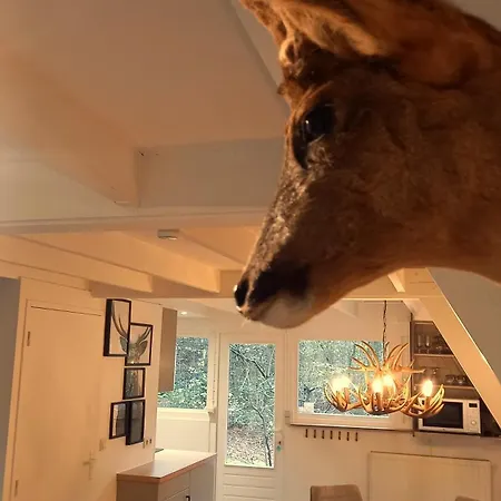 Maison Tronchiennes Ferienhaus *