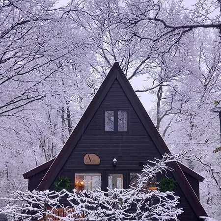 Holiday home Maison Tronchiennes *