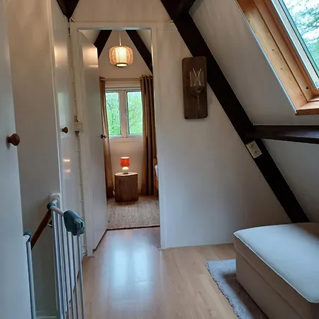 Maison Tronchiennes *