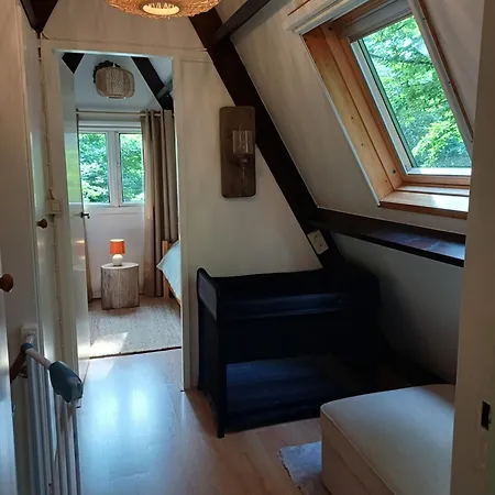 Maison Tronchiennes *