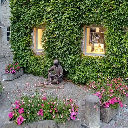 Hébergement de vacances Maison Tronchiennes