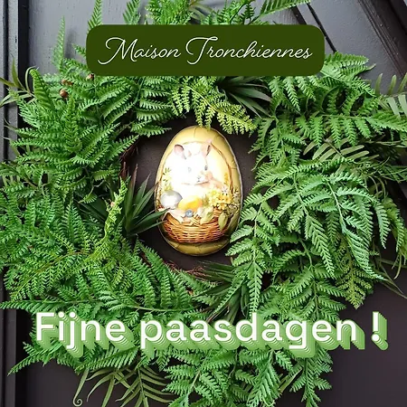 Maison Tronchiennes 더뷔