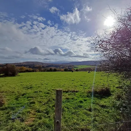 Maison Tronchiennes *