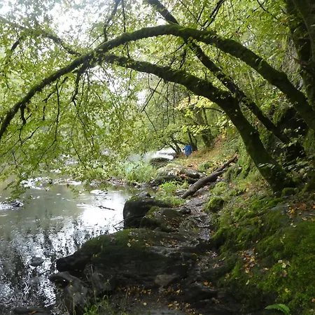 Maison Tronchiennes * Durbuy