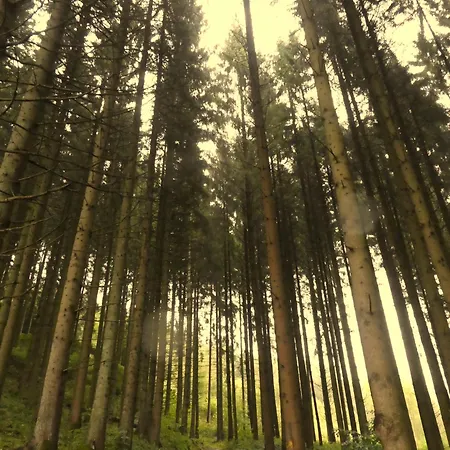 Maison Tronchiennes Casa vacanze