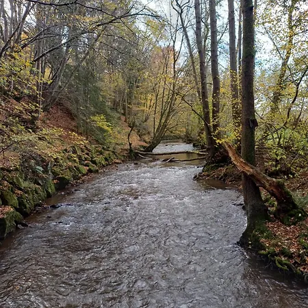 Maison Tronchiennes Σπίτι διακοπών *