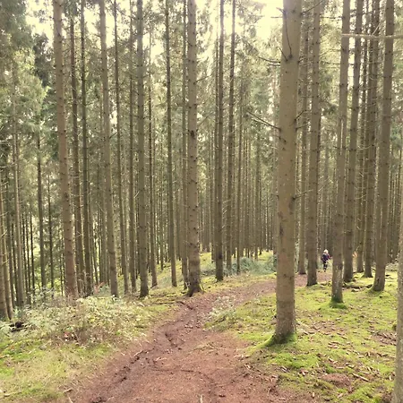 Maison Tronchiennes Casa vacanze *