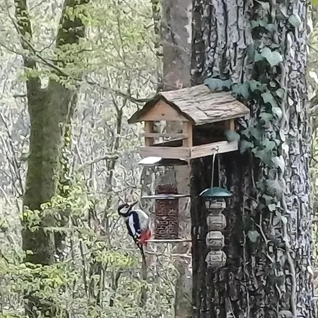 Hébergement de vacances Maison Tronchiennes *