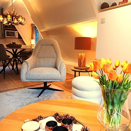 Maison Tronchiennes 펜션