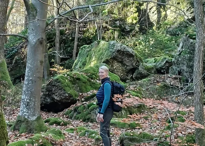 Maison Tronchiennes Tatil Evi